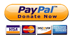 Ir a PayPal